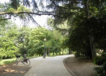 Al parco di sera!